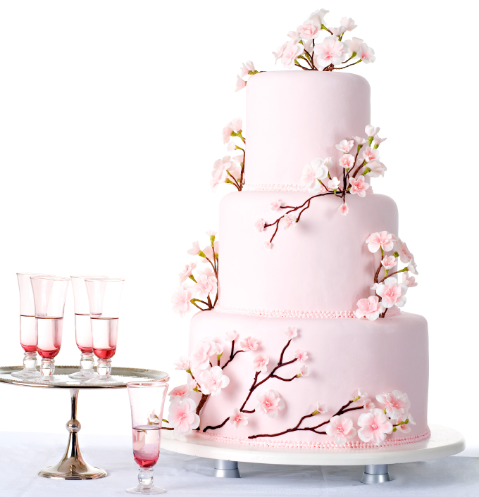 tarta de fondant rosa